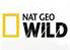   - Nat Geo Wild